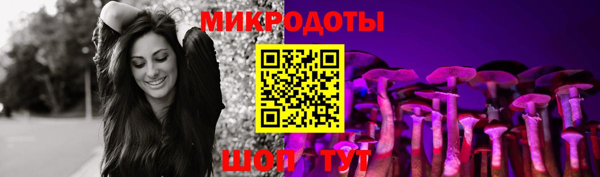 Северск  Галлюциногенные грибы Cubensis  купить   Вход с VPN  Галлюциногенные грибы мицелий 